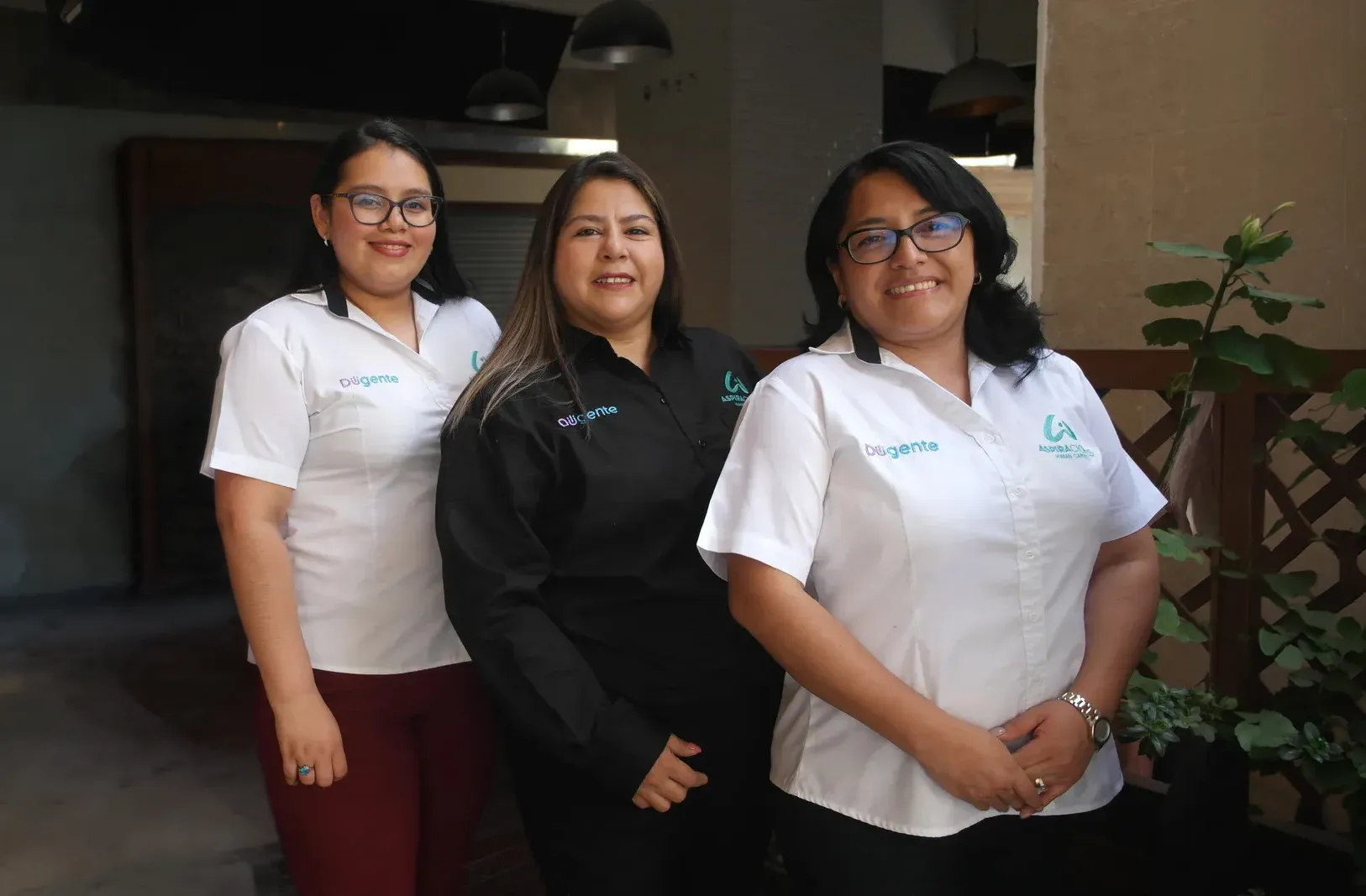 Pruebas de Integridad